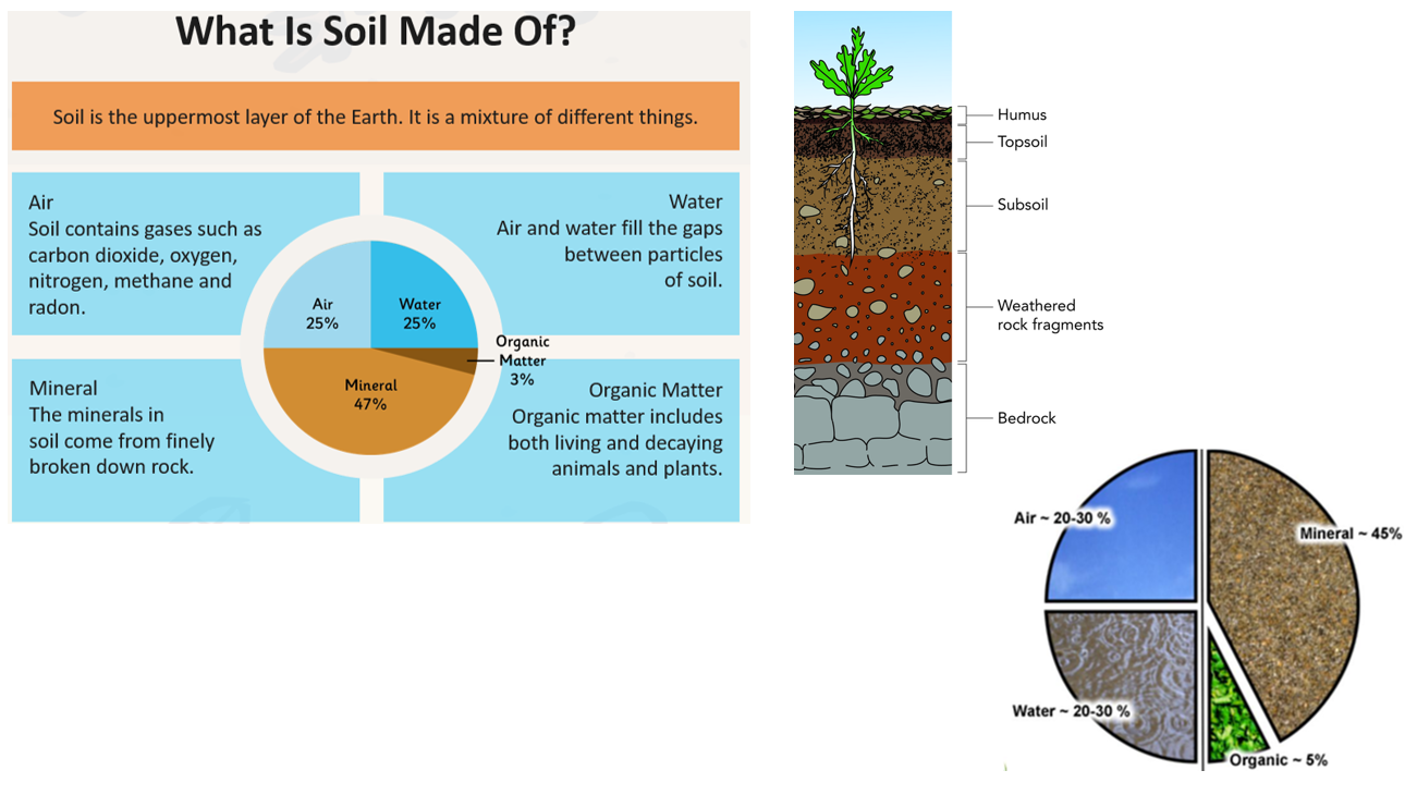 rocks-soils-and-fossils-st-mark-s-c-of-e-primary-school