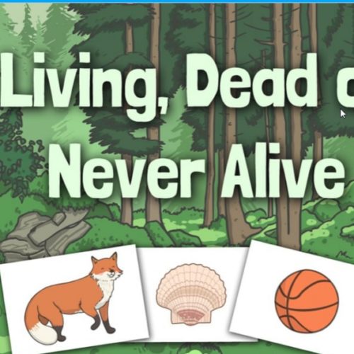 science-blog-living-dead-or-never-alive-st-mark-s-c-of-e-primary-school