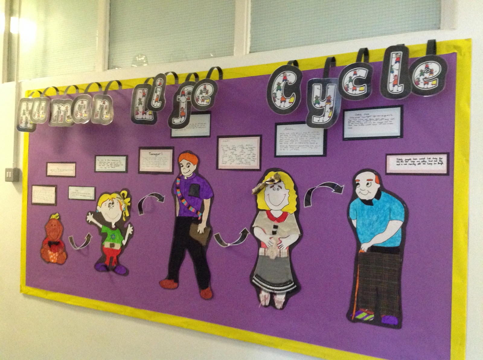 The Human Life Cycle St Mark s C Of E Primary School